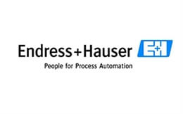 Endress+Hauser（E+H）