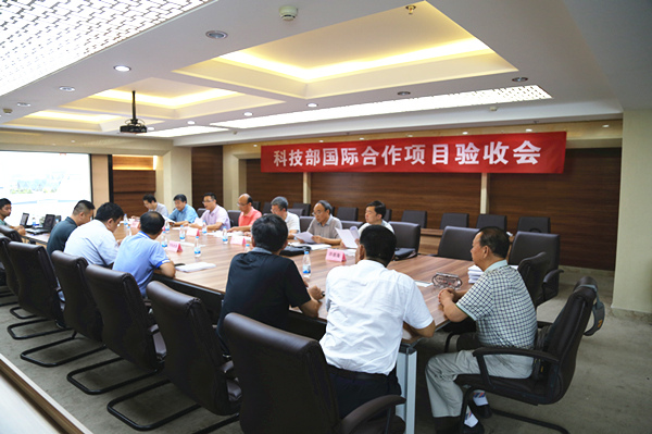 国际合作项目验收
